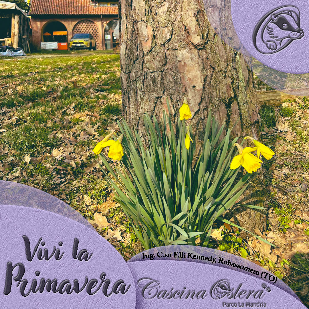 Primavera 2026